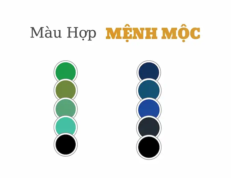 Các màu sắc hợp với mệnh mộc