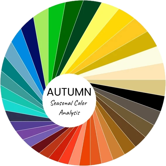 Bảng màu Personal Color mùa Thu dạng bánh xe. Gồm các màu sắc ấm áp, trầm, và đất như cam cháy, nâu đậm, xanh rêu, be, kem